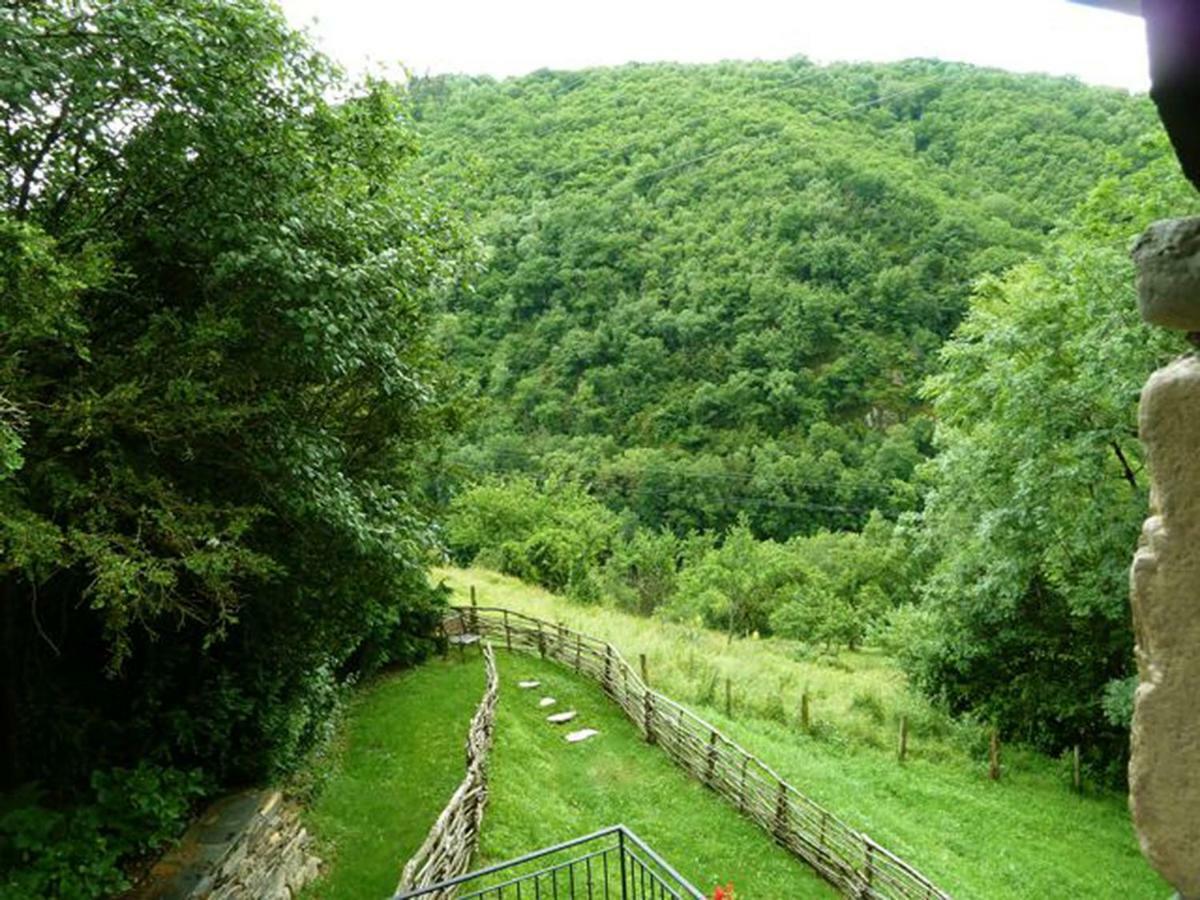 La Maisonnette Entraygues-sur-Truyère Dış mekan fotoğraf