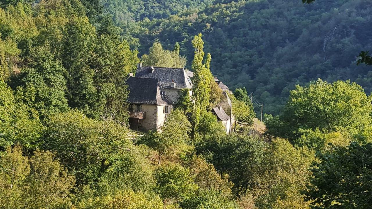 La Maisonnette Entraygues-sur-Truyère Dış mekan fotoğraf